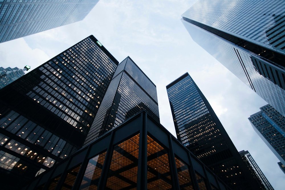 Corporate skyscrapers representing large enterprise organizations